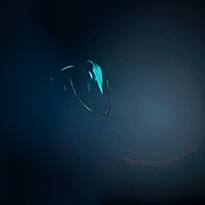 Digital marketing campaign results - Miami Beach marketing agency